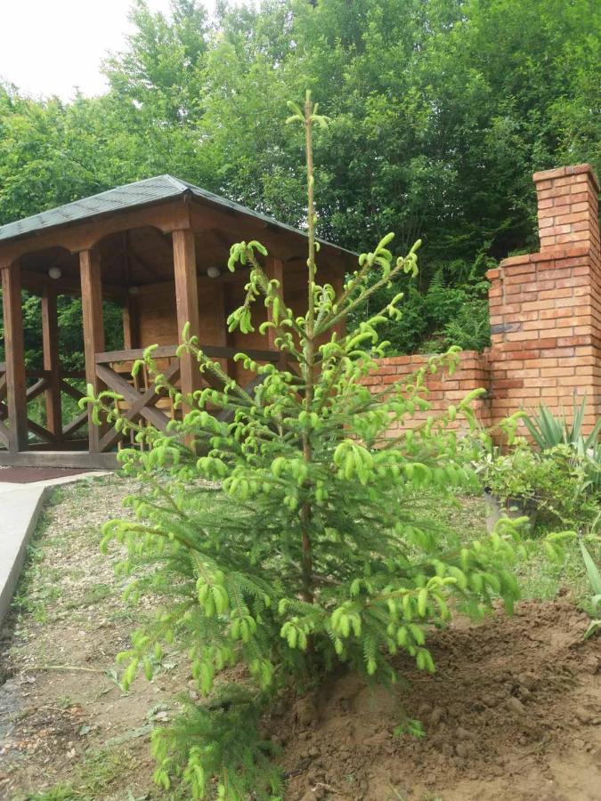 Villa Na Uzlissi Mihova Exterior foto